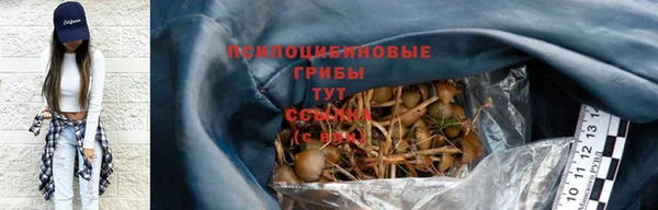 соль курить ск Осинники