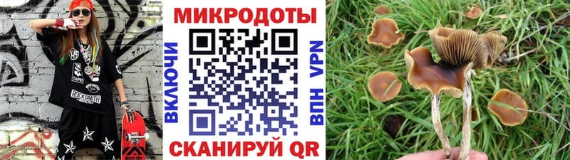 Псилоцибиновые грибы MAGIC MUSHROOMS hydra tor Нея